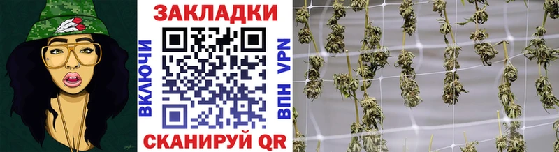 Названия наркотиков Петрозаводск Марихуана  АМФ  Alpha-PVP  Гашиш  гидра ТОР  КОКАИН 