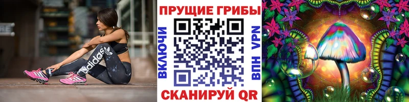 дарк нет состав  Петрозаводск  Псилоцибиновые грибы MAGIC MUSHROOMS 